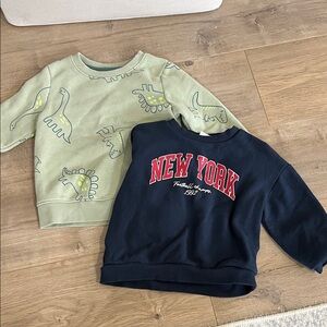 Kids Dinosaur and New York Sweatshirts